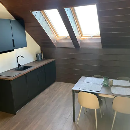 Nova Izera - Kameralnie - Pod Lasem - Przy Szlaku - Singletrack - Gondola - Jacuzzi Apartament Świeradów-Zdrój
